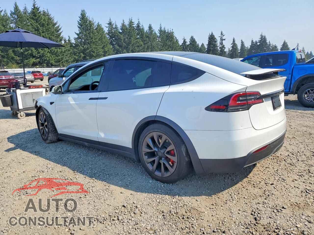 TESLA MODEL X 2024 - 7SAXCBE61RF439871