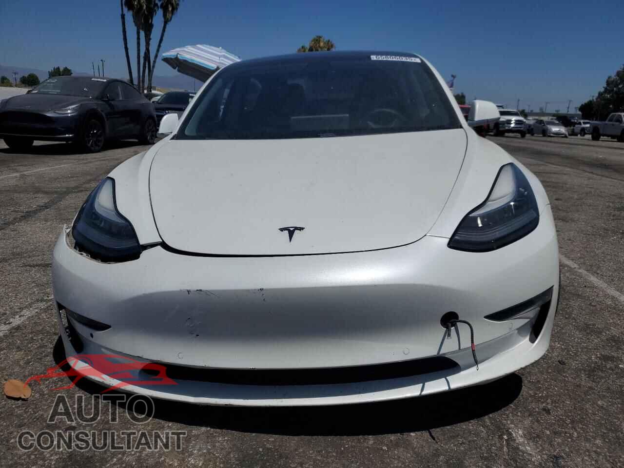 TESLA MODEL 3 2020 - 5YJ3E1EA5LF612822