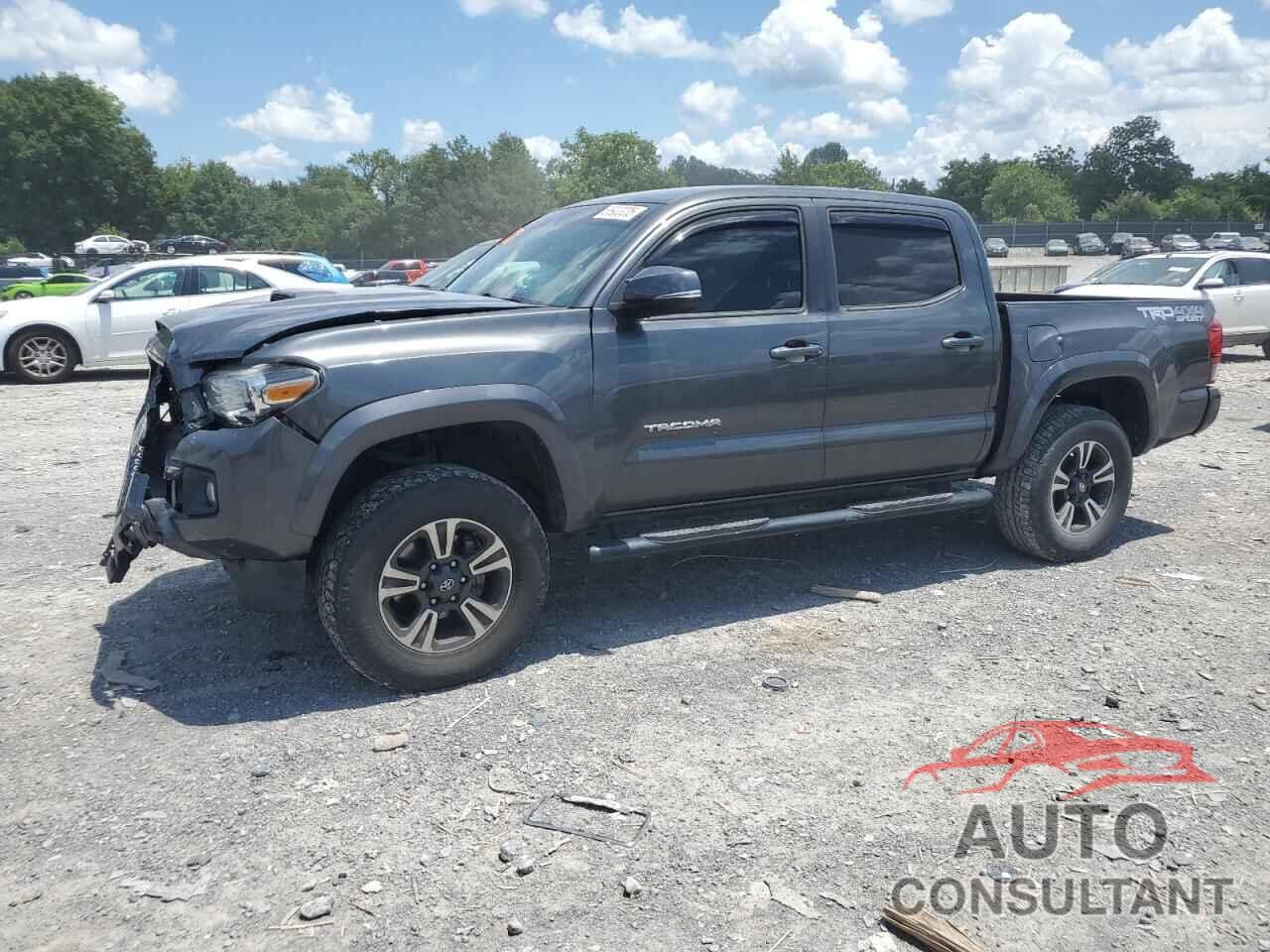 TOYOTA TACOMA 2019 - 3TMCZ5AN6KM264401