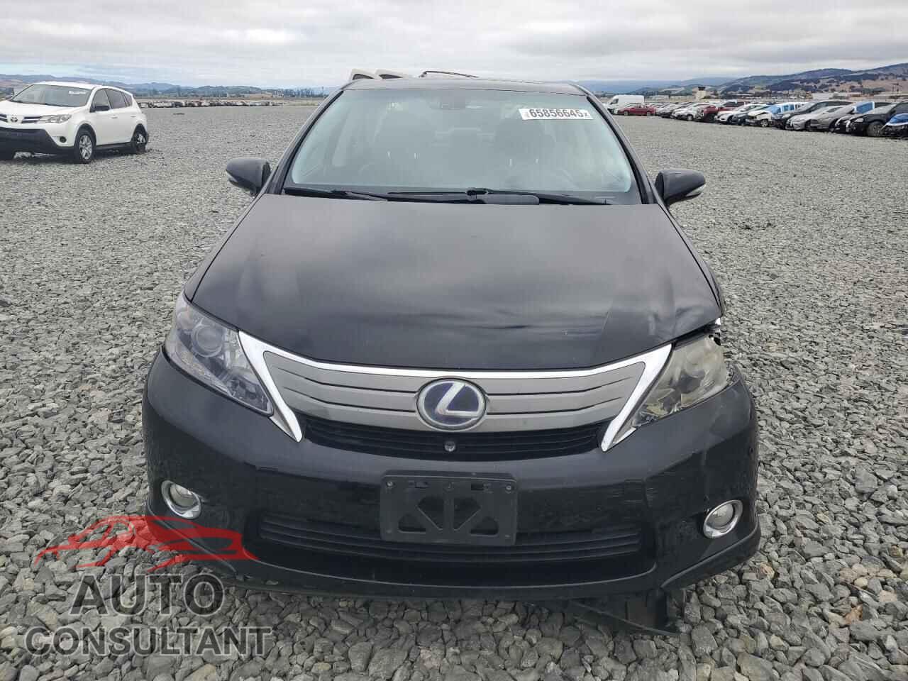 LEXUS HS 2011 - JTHBB1BA4B2046161