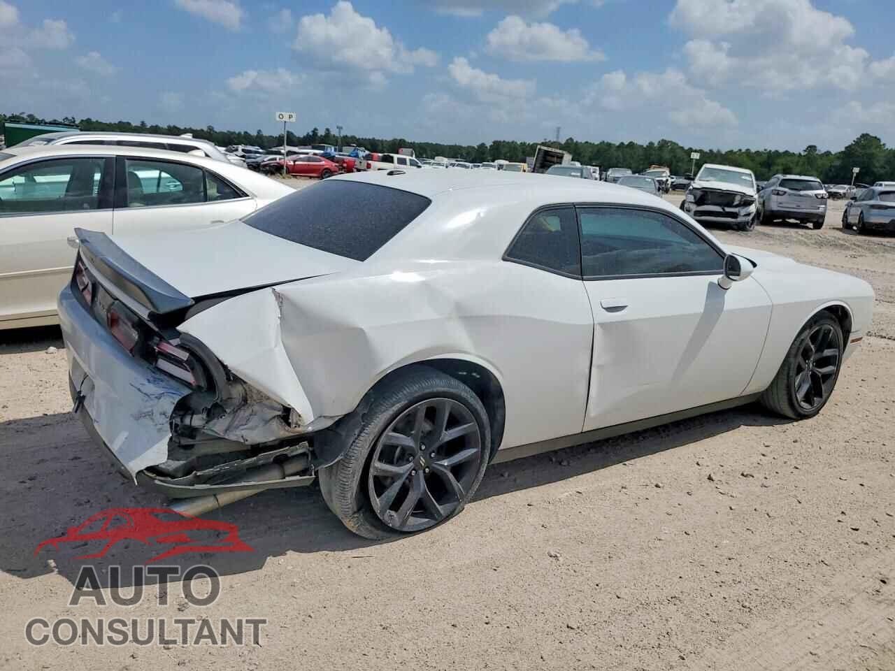 DODGE CHALLENGER 2019 - 2C3CDZAG3KH557778