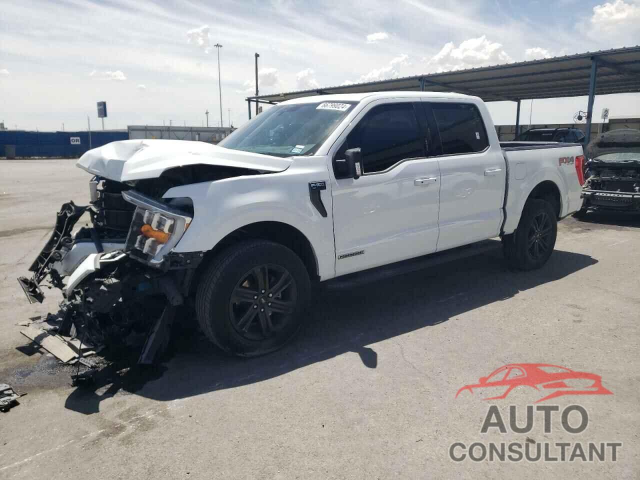 FORD F-150 2021 - 1FTFW1ED2MFC79559