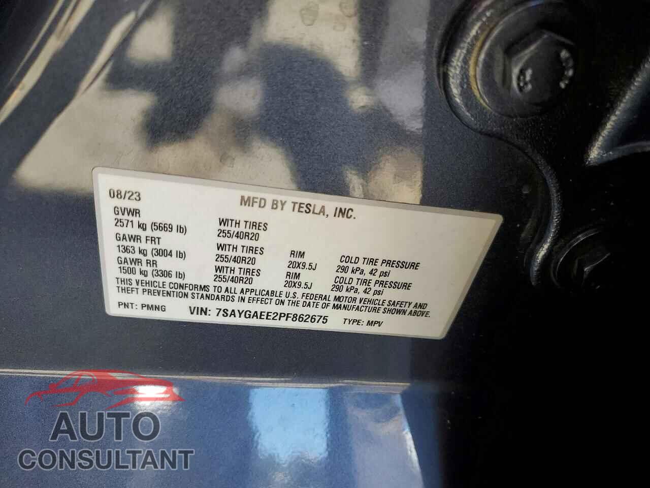 TESLA MODEL Y 2023 - 7SAYGAEE2PF862675