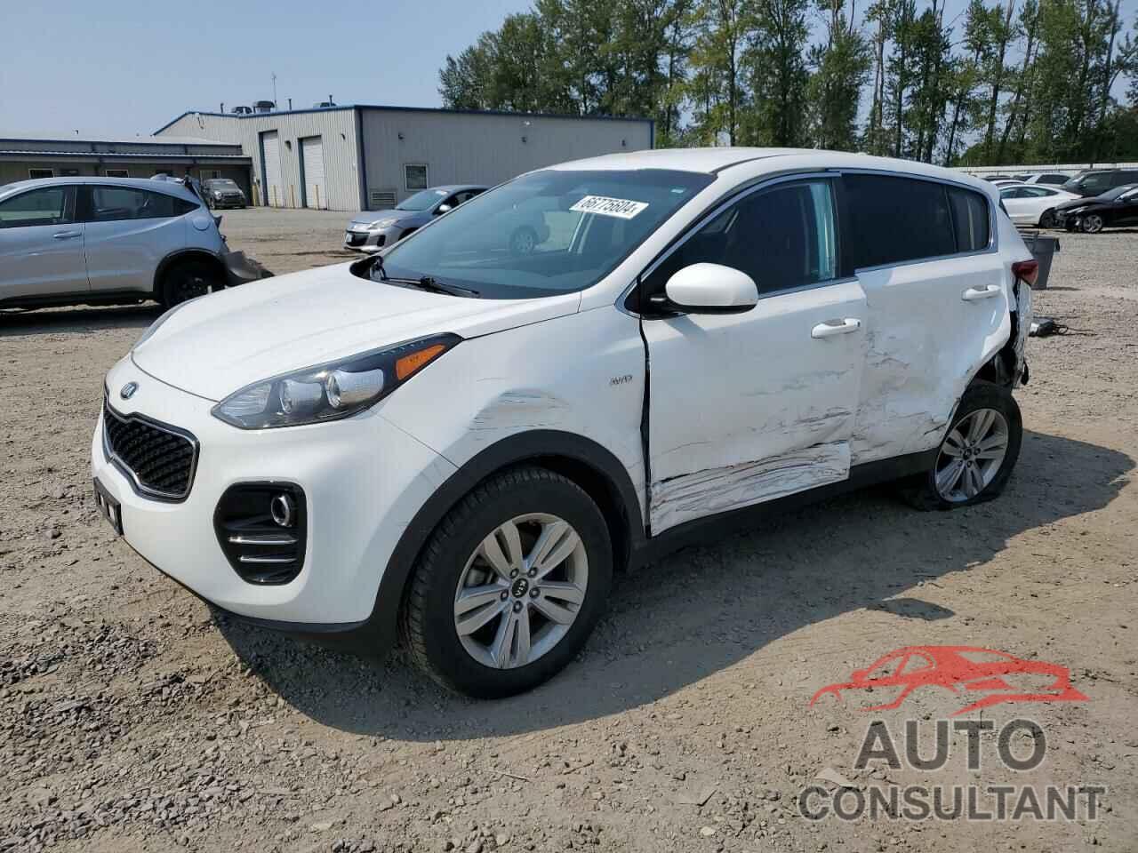 KIA SPORTAGE 2017 - KNDPMCAC6H7187566