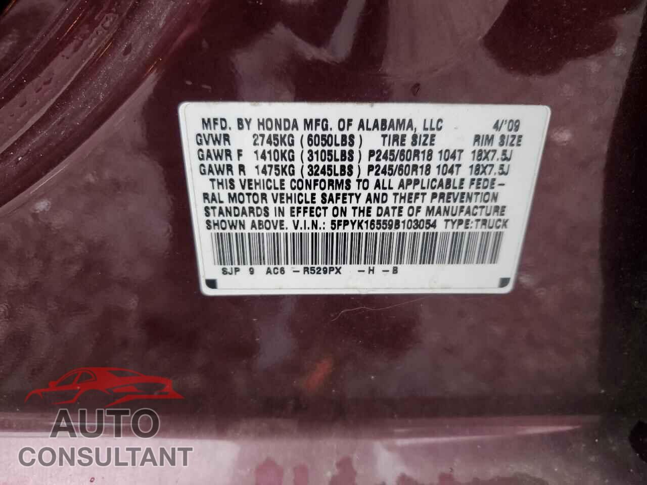 HONDA RIDGELINE 2009 - 5FPYK16559B103054