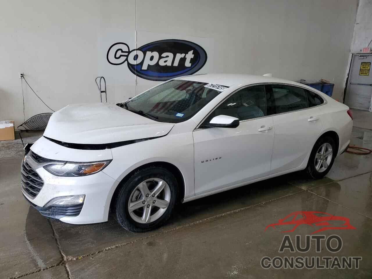 CHEVROLET MALIBU 2024 - 1G1ZD5ST3RF131748