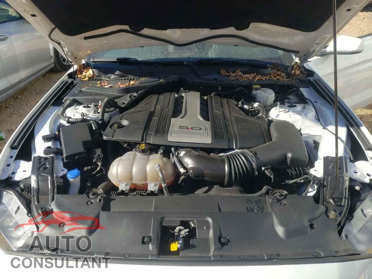 FORD MUSTANG 2020 - 1FA6P8CFXL5129039