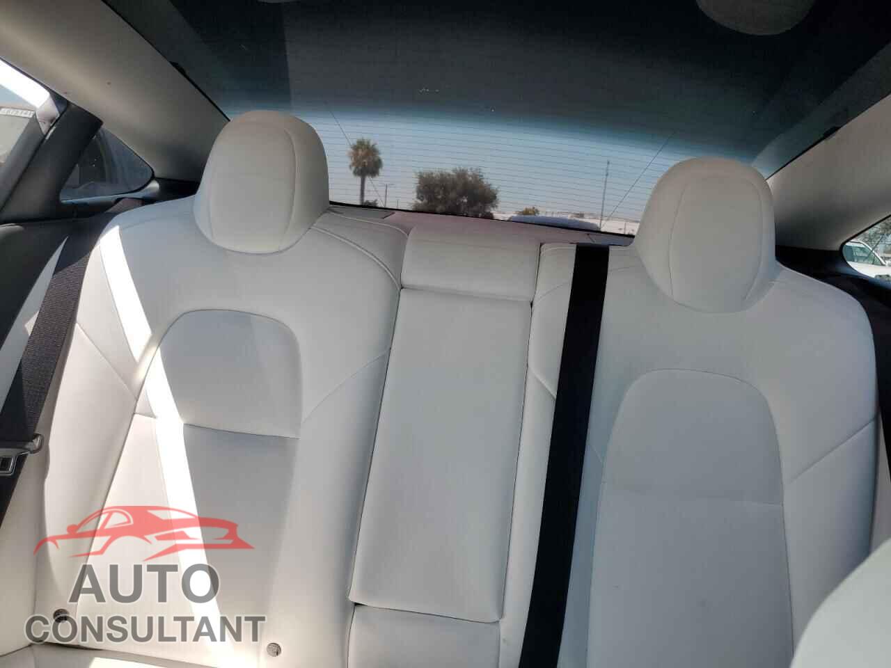TESLA MODEL 3 2021 - 5YJ3E1EA1MF000800