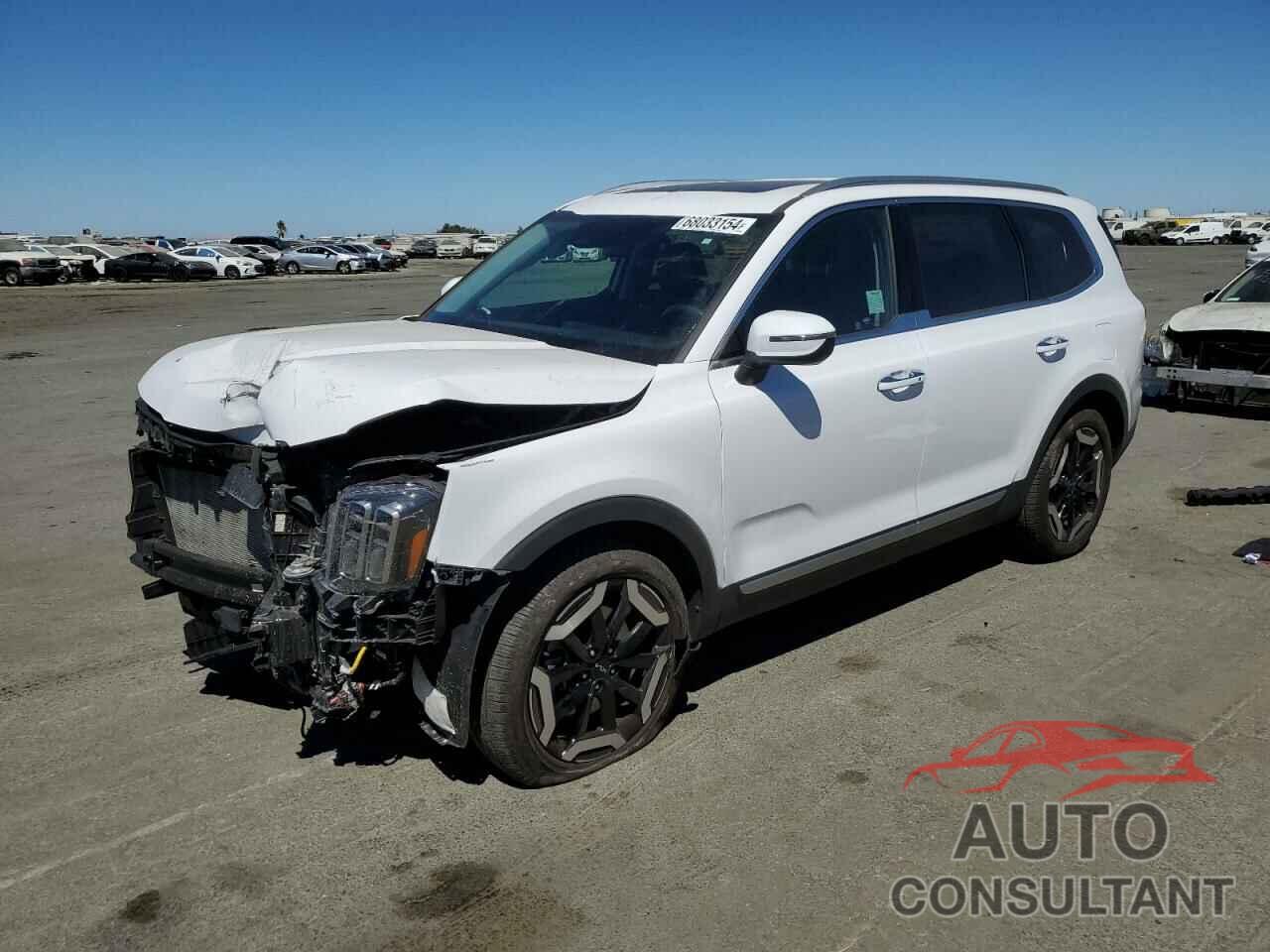 KIA TELLURIDE 2024 - 5XYP6DGC8RG433352