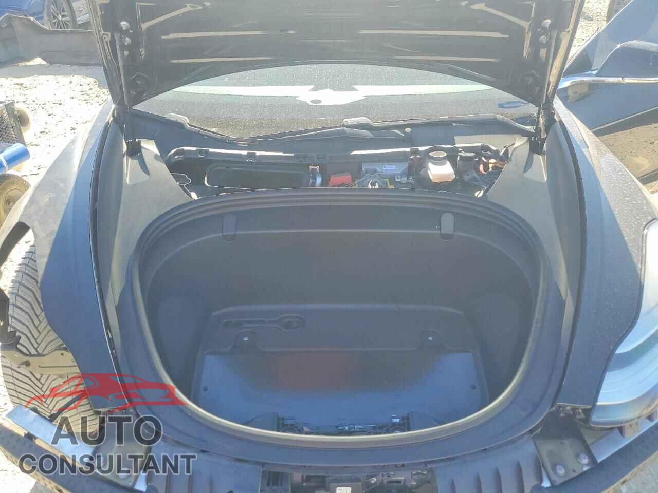 TESLA MODEL 3 2019 - 5YJ3E1EA5KF193319