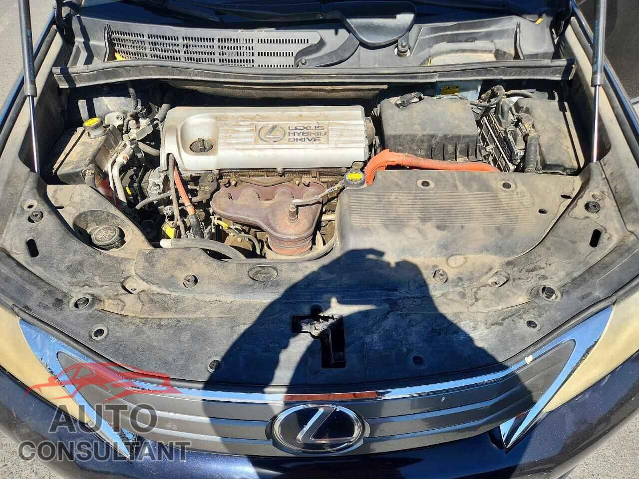 LEXUS HS 2010 - JTHBB1BA0A2001121