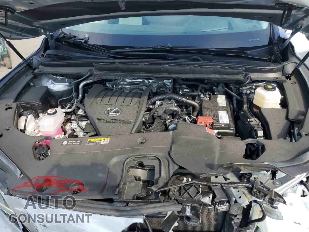 LEXUS RX350 2023 - 2T2BAMCA3PC021244