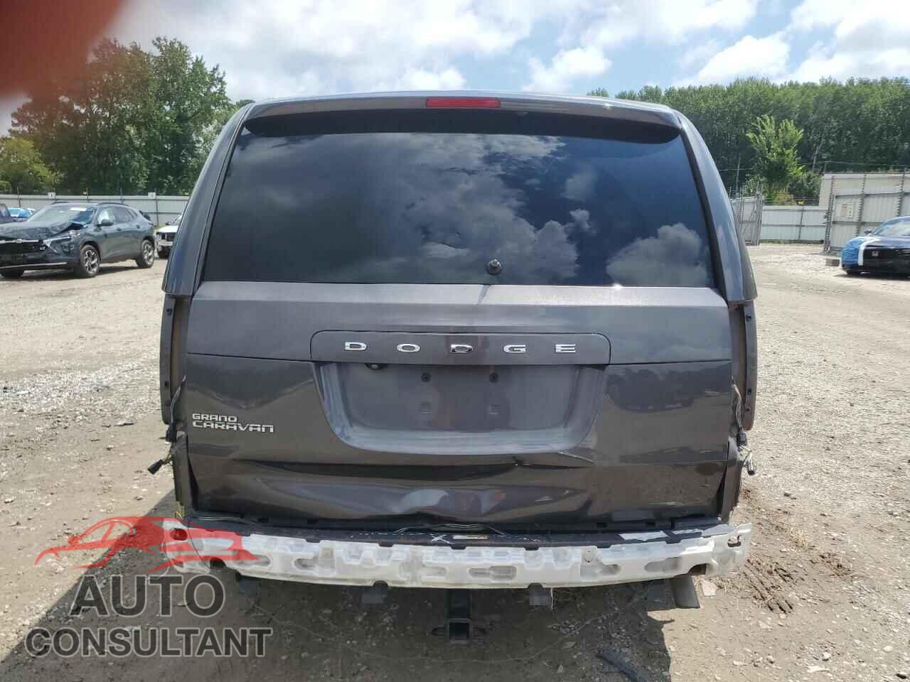 DODGE CARAVAN 2019 - 2C4RDGBGXKR501565
