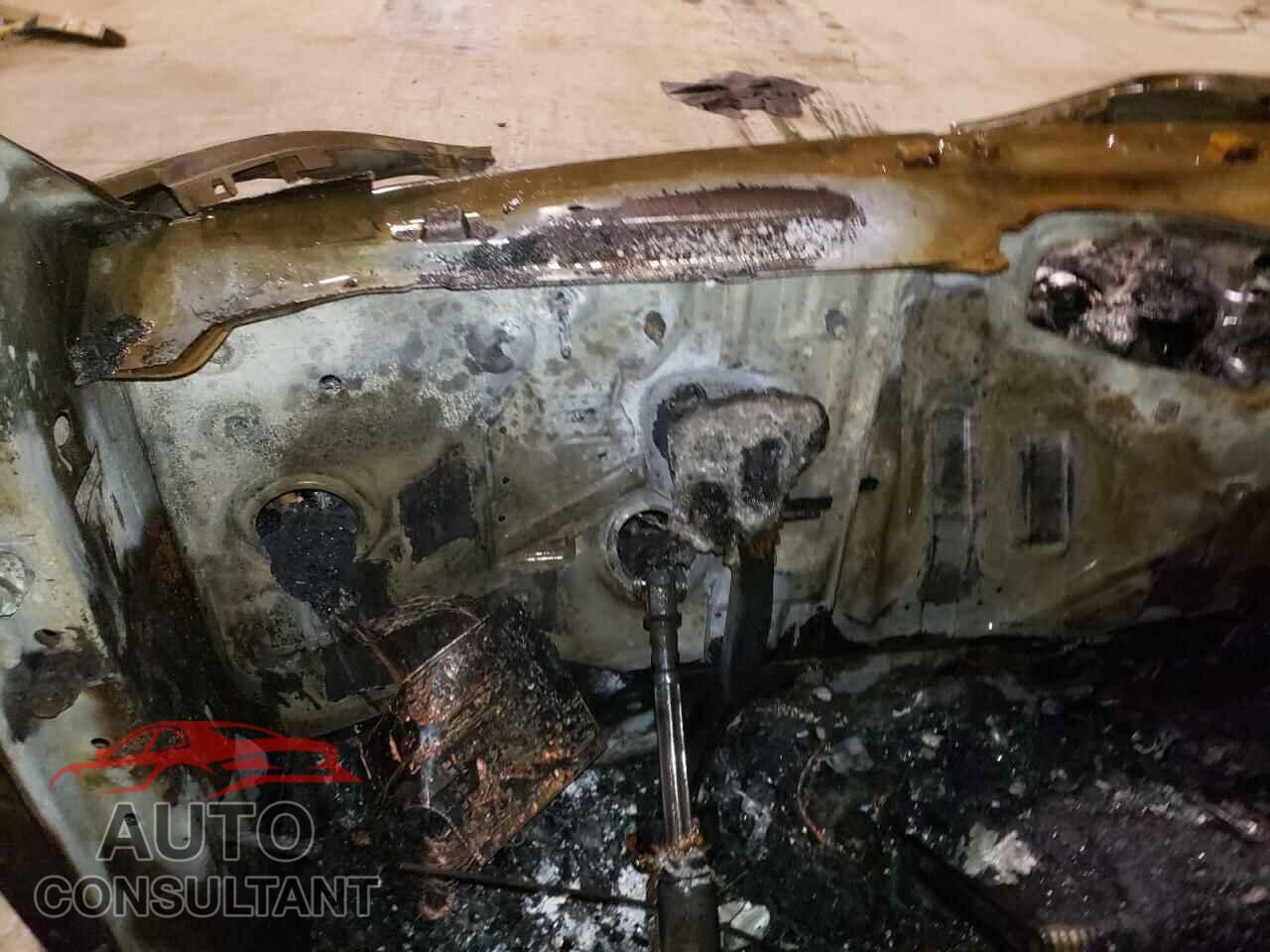 TESLA MODEL Y 2020 - 5YJYGDEEXLF041235