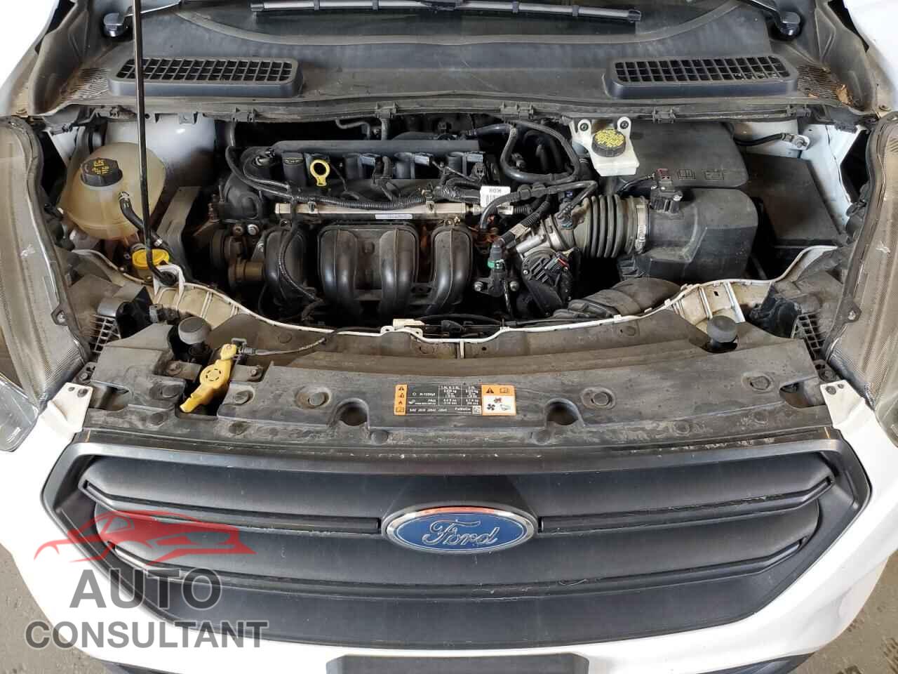 FORD ESCAPE 2019 - 1FMCU0F79KUB60472