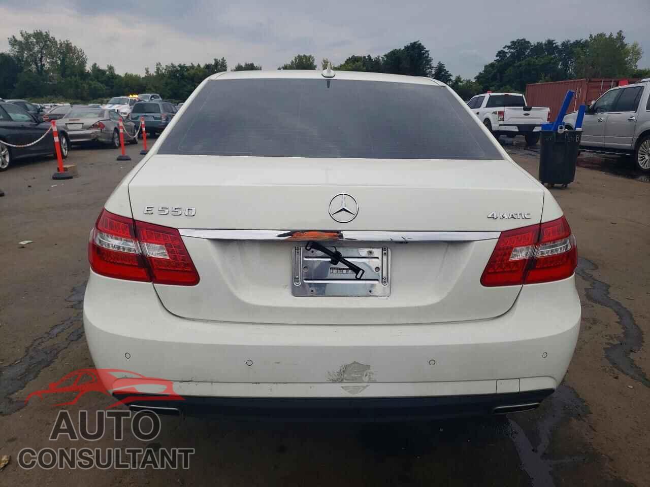 MERCEDES-BENZ E-CLASS 2010 - WDDHF9AB8AA138859