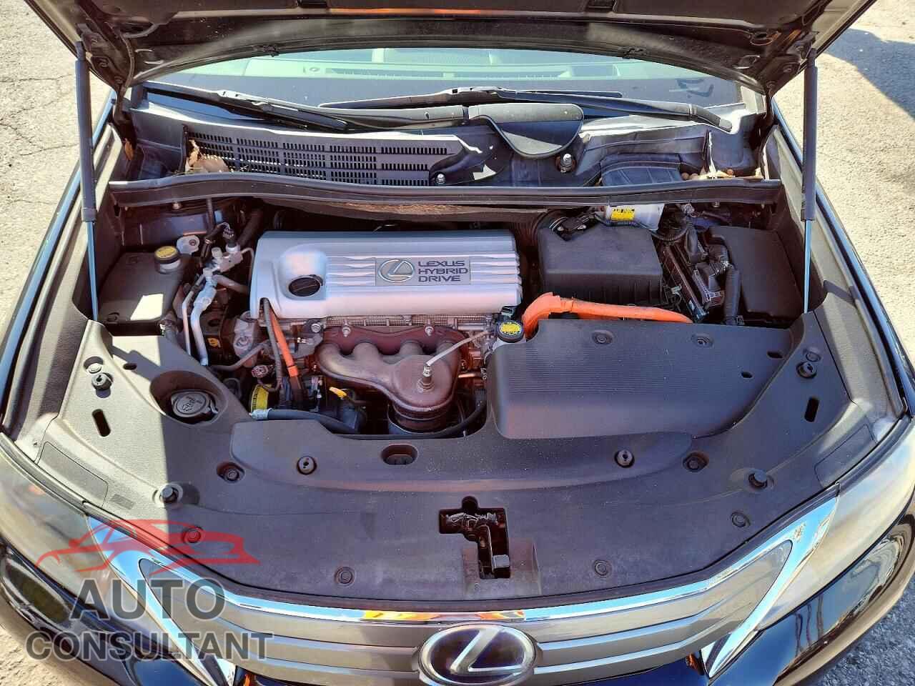 LEXUS HS 2010 - JTHBB1BA8A2003196