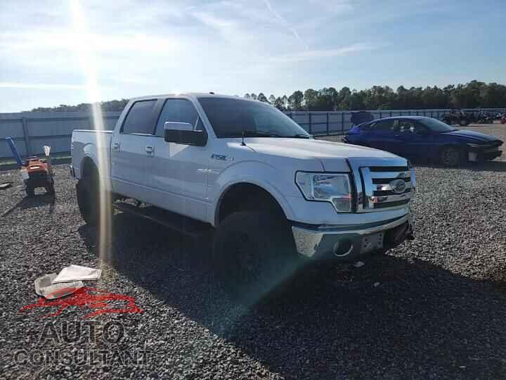 FORD F150 2010 - 1FTFW1EV1AFD16315