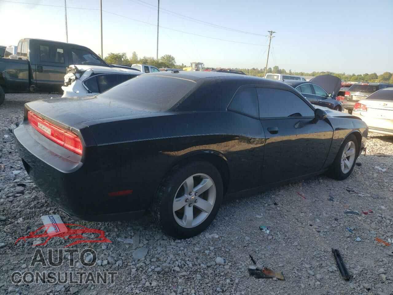 DODGE CHALLENGER 2013 - 2C3CDYAG3DH728591