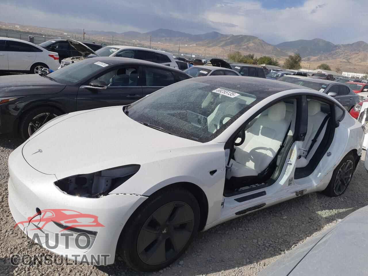 TESLA MODEL 3 2022 - 5YJ3E1EB3NF277846