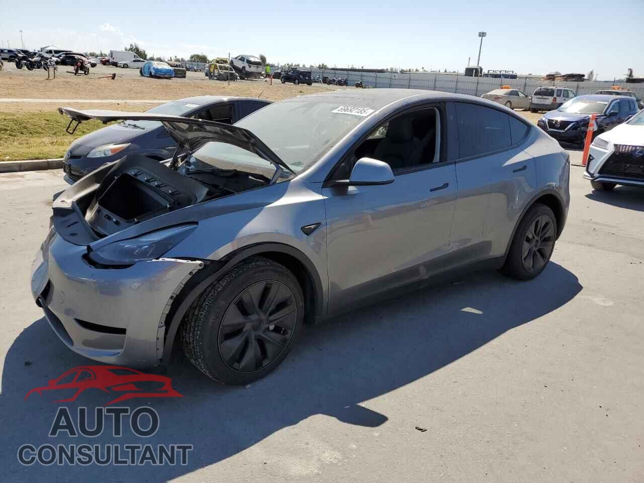 TESLA MODEL Y 2024 - 7SAYGDEE2RF113332