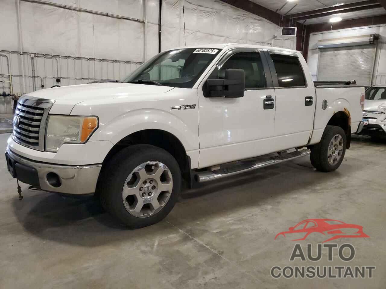 FORD F-150 2010 - 1FTFW1EV7AFB35333