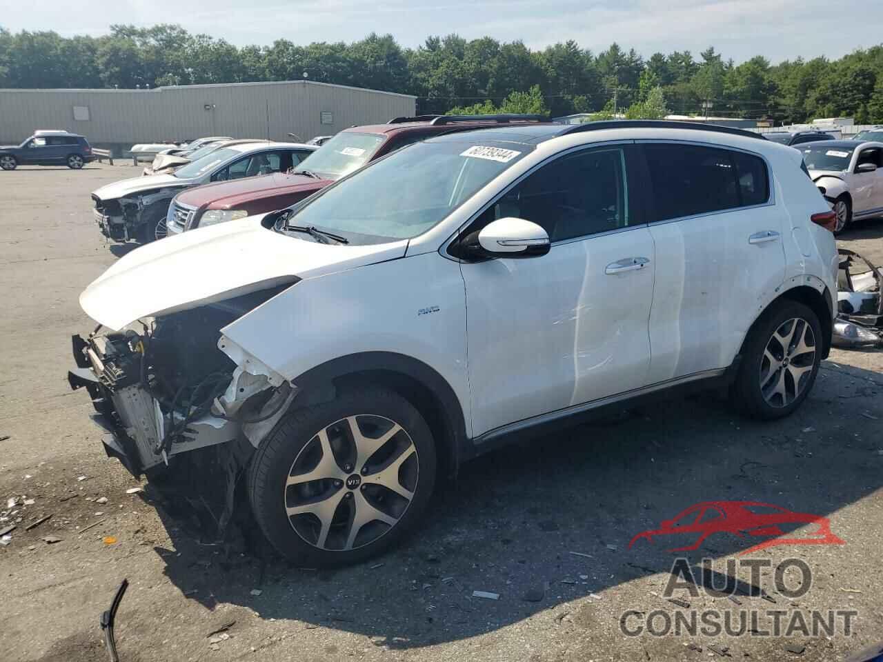 KIA SPORTAGE 2019 - KNDPRCA62K7582301