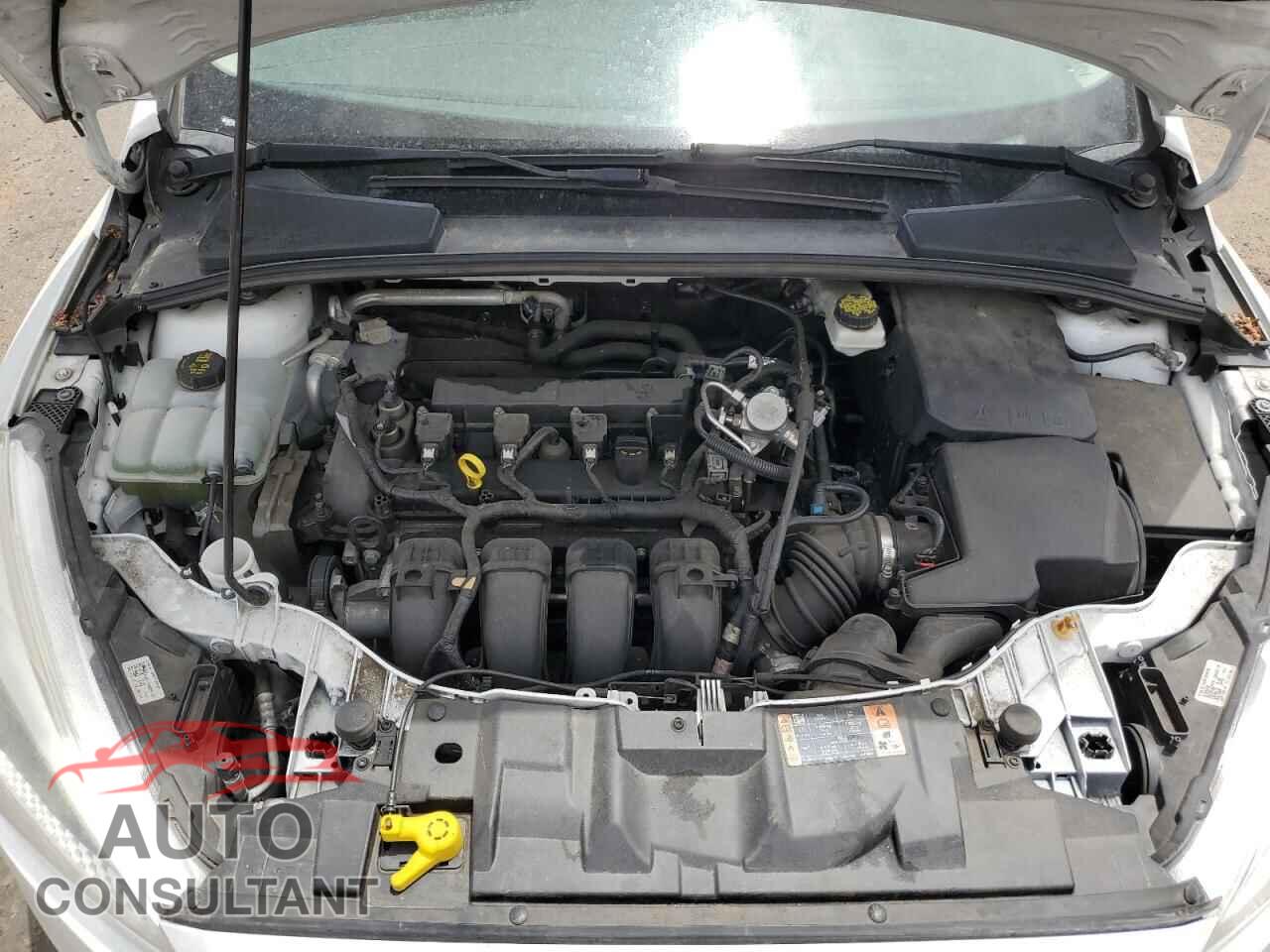 FORD FOCUS 2017 - 1FADP3F24HL300146