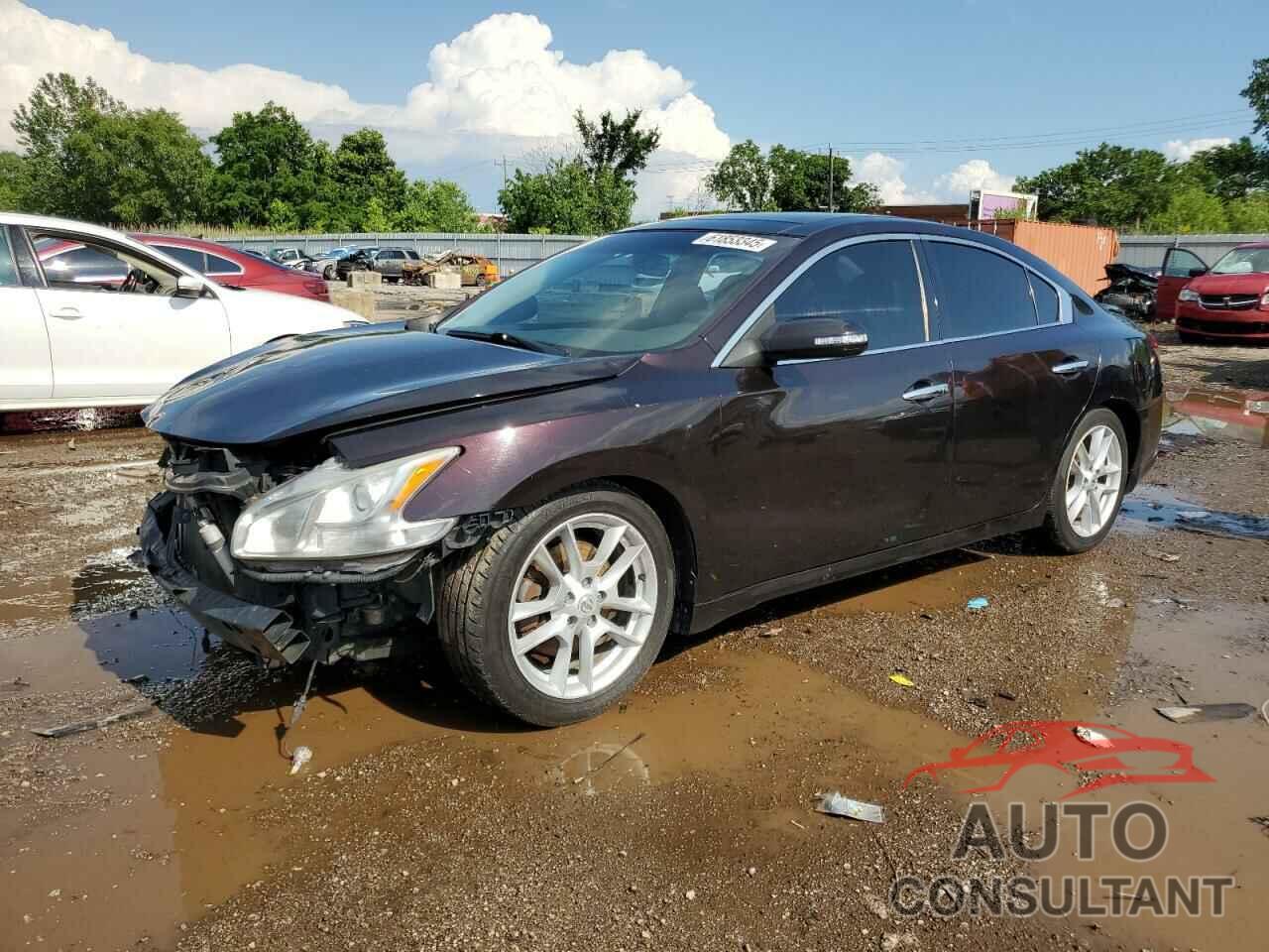 NISSAN MAXIMA 2011 - 1N4AA5AP1BC836885
