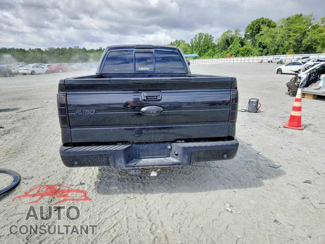 FORD F150 2013 - 1FTFW1EF0DFD50498