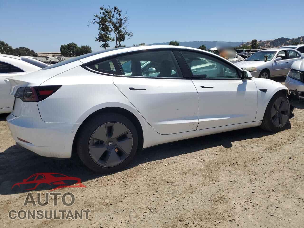 TESLA MODEL 3 2021 - 5YJ3E1EAXMF981936