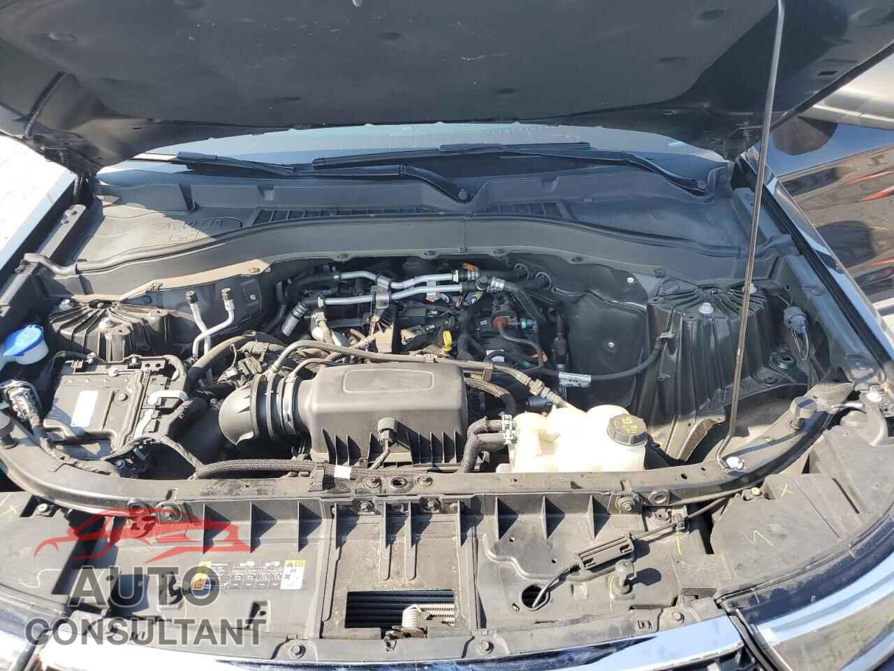 FORD EXPLORER 2021 - 1FMSK8DH7MGB20310