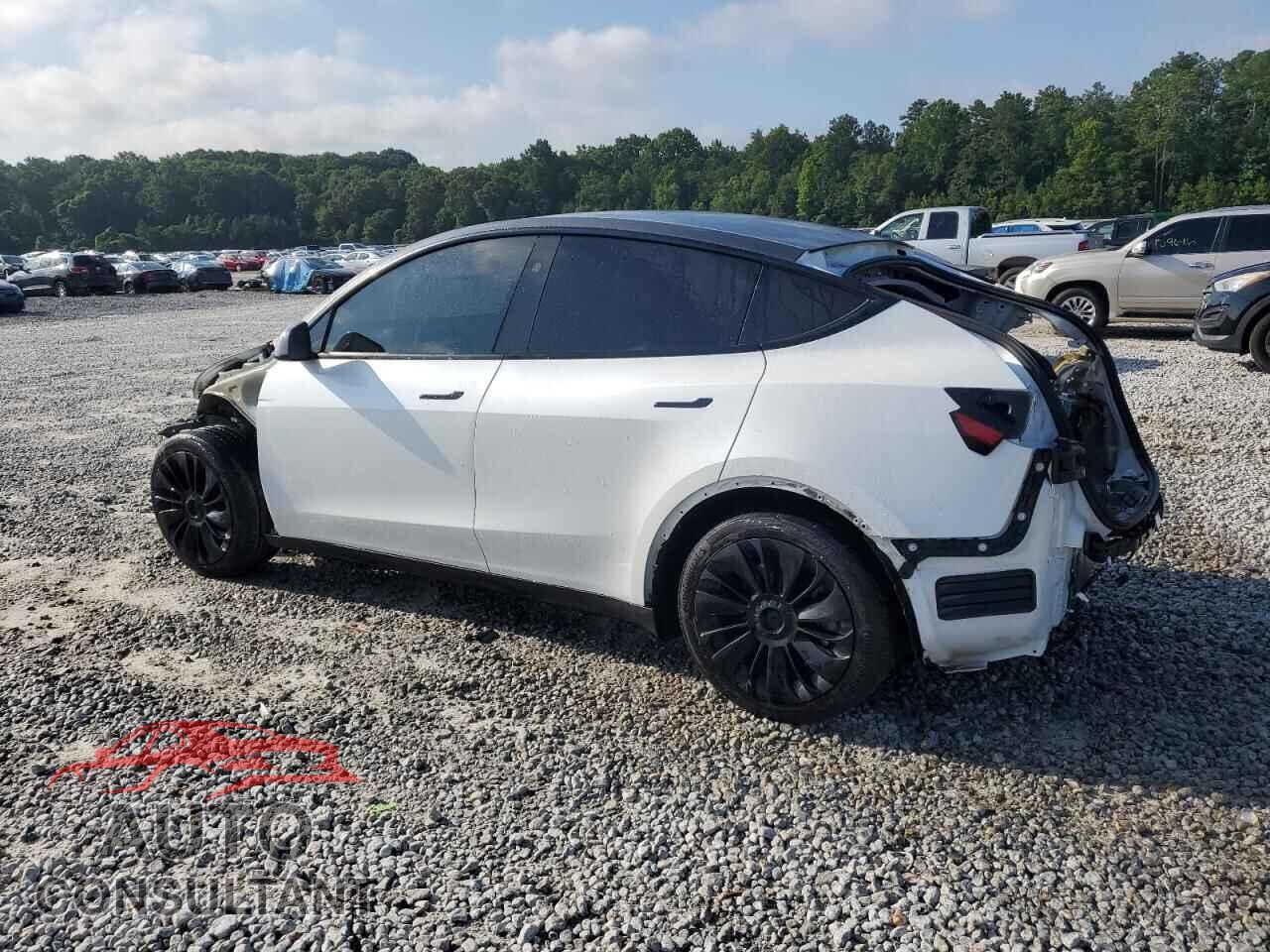 TESLA MODEL Y 2024 - 7SAYGAEEXRF005653