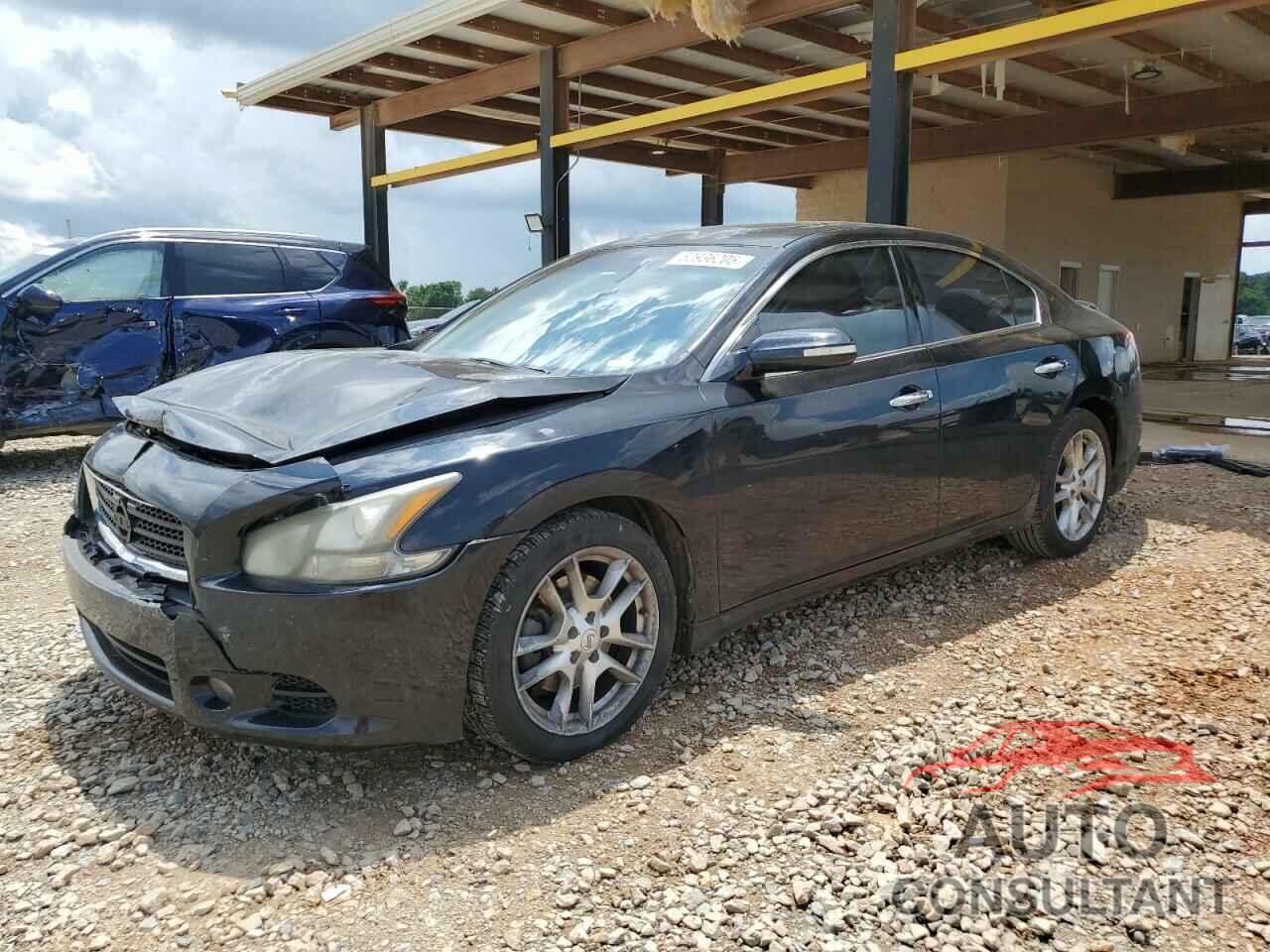 NISSAN MAXIMA 2011 - 1N4AA5AP4BC843815
