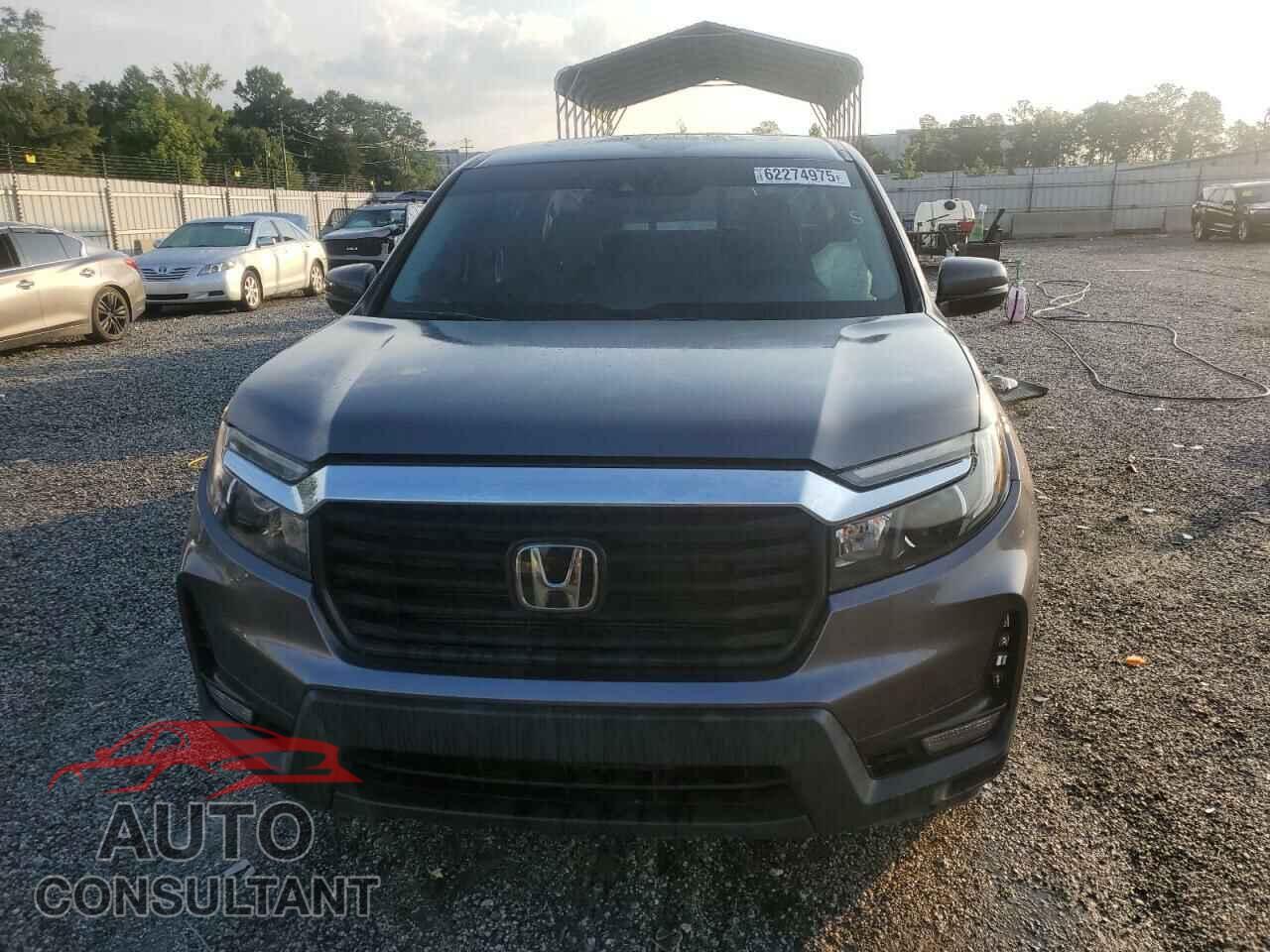 HONDA RIDGELINE 2021 - 5FPYK3F52MB005295