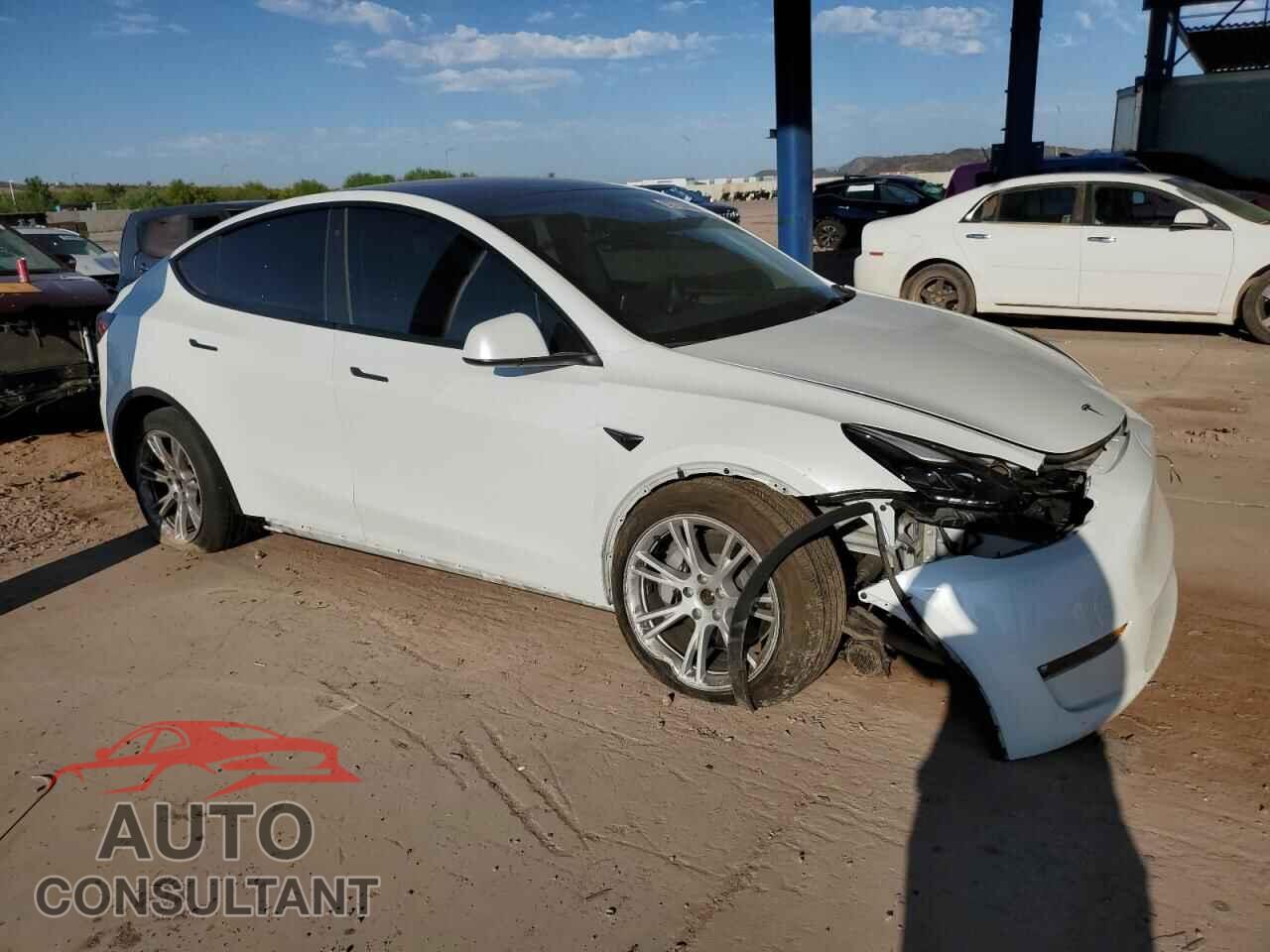 TESLA MODEL Y 2023 - 7SAYGDEEXPF646087