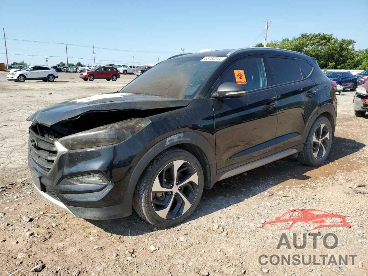 HYUNDAI TUCSON 2017 - KM8J33A23HU339400