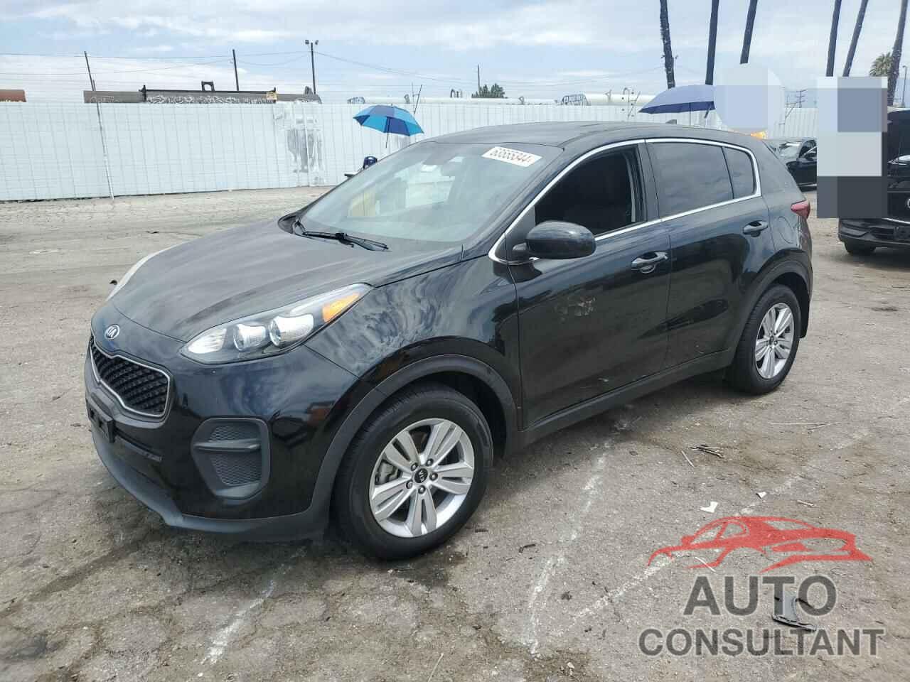 KIA SPORTAGE 2019 - KNDPM3AC6K7508528