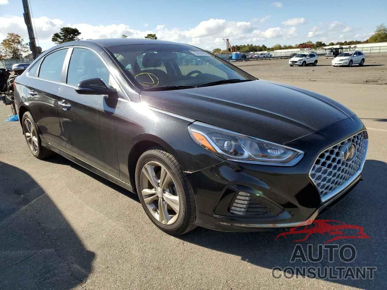 HYUNDAI SONATA 2019 - 5NPE34AF1KH775369