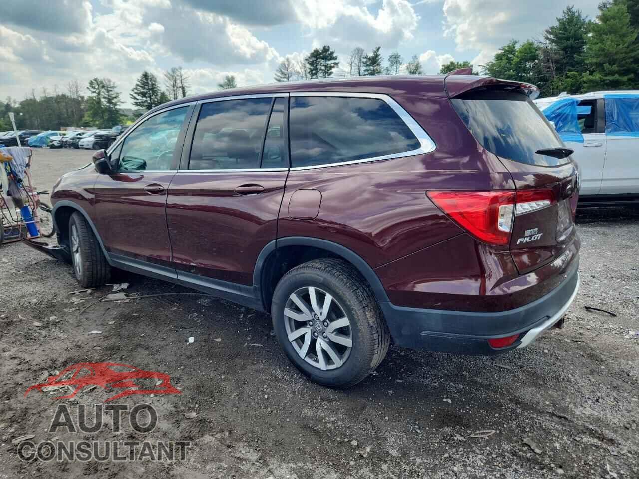 HONDA PILOT 2019 - 5FNYF6H56KB024313