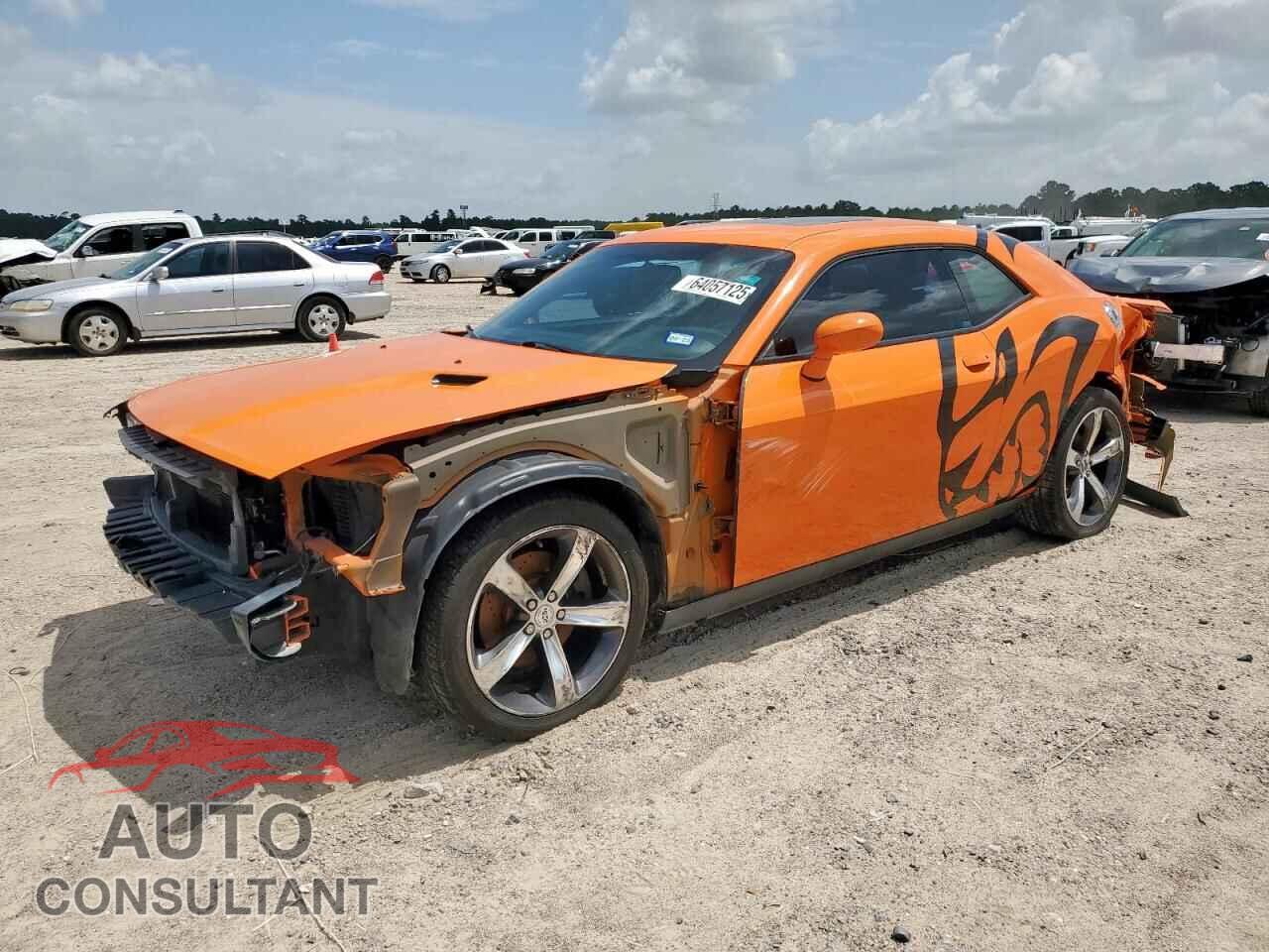 DODGE CHALLENGER 2014 - 2C3CDYBT1EH294393