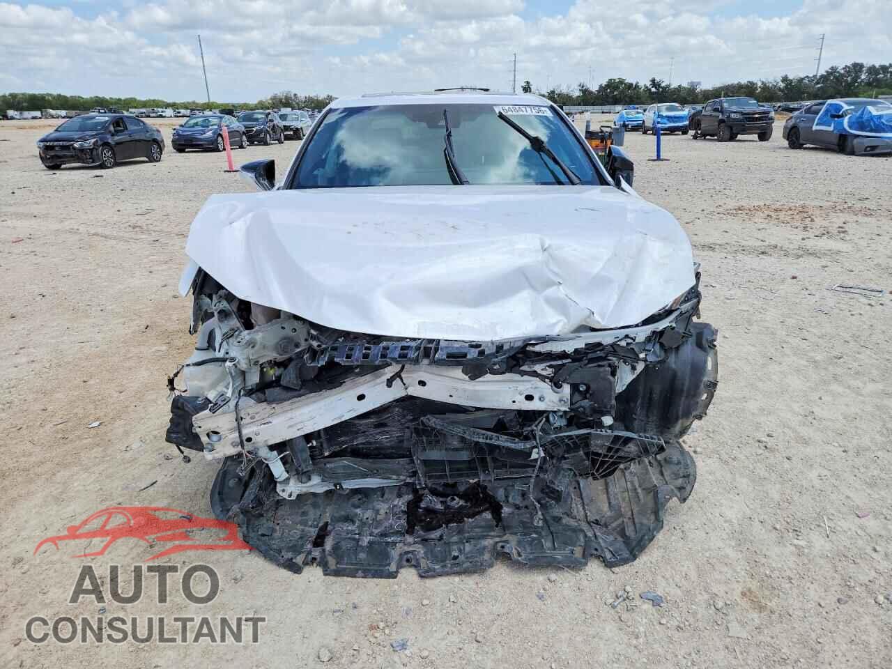 LEXUS ES300 2023 - 58ADA1C19PU027049