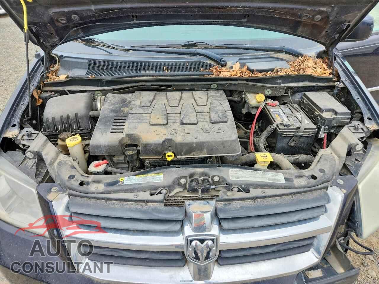 DODGE CARAVAN 2010 - 2D4RN6DX4AR446987