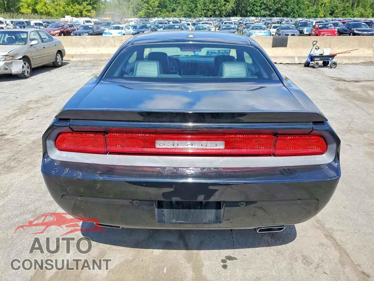DODGE CHALLENGER 2013 - 2C3CDYAG0DH573918