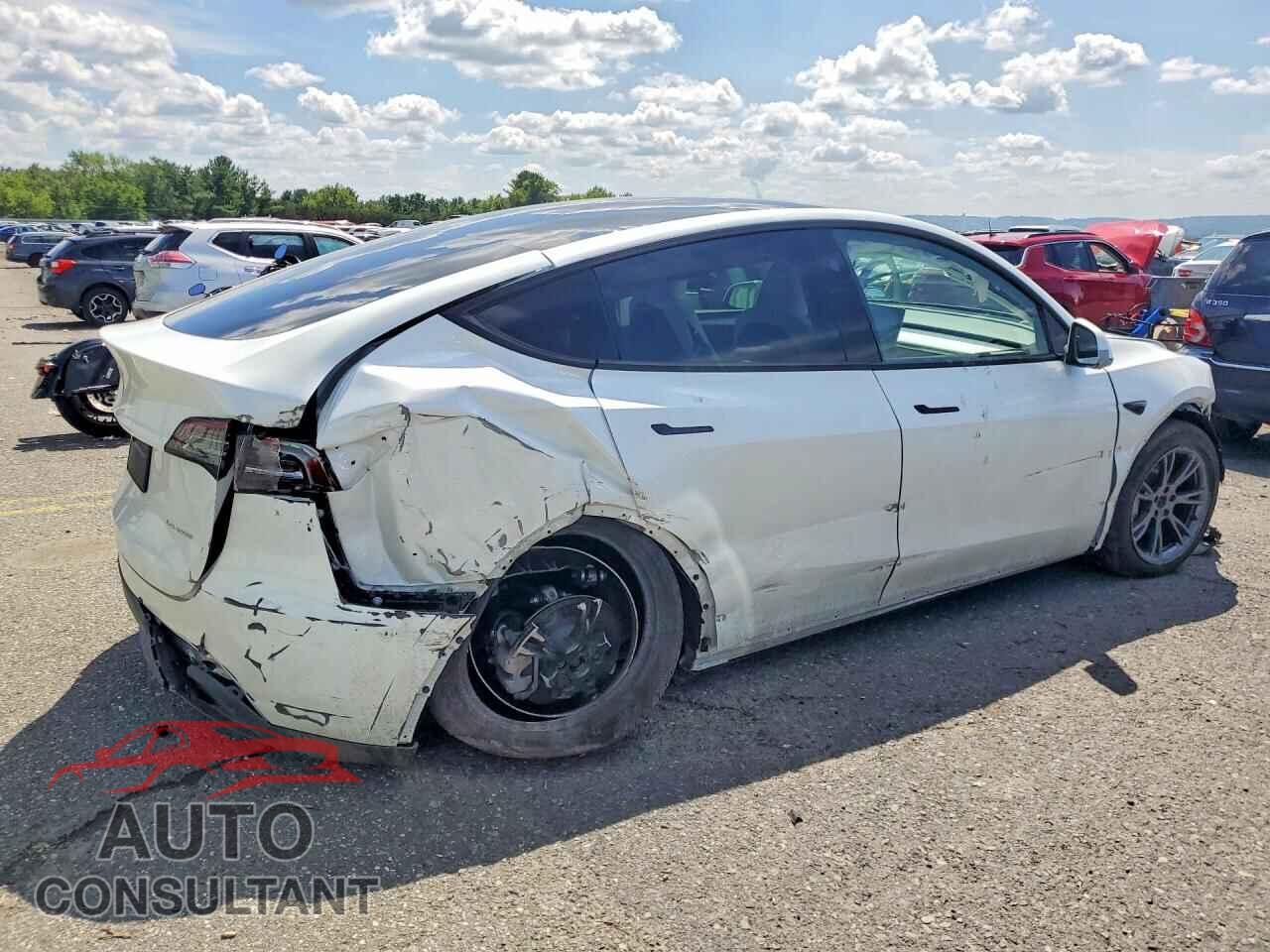 TESLA MODEL Y 2024 - 7SAYGDEE7RF213541