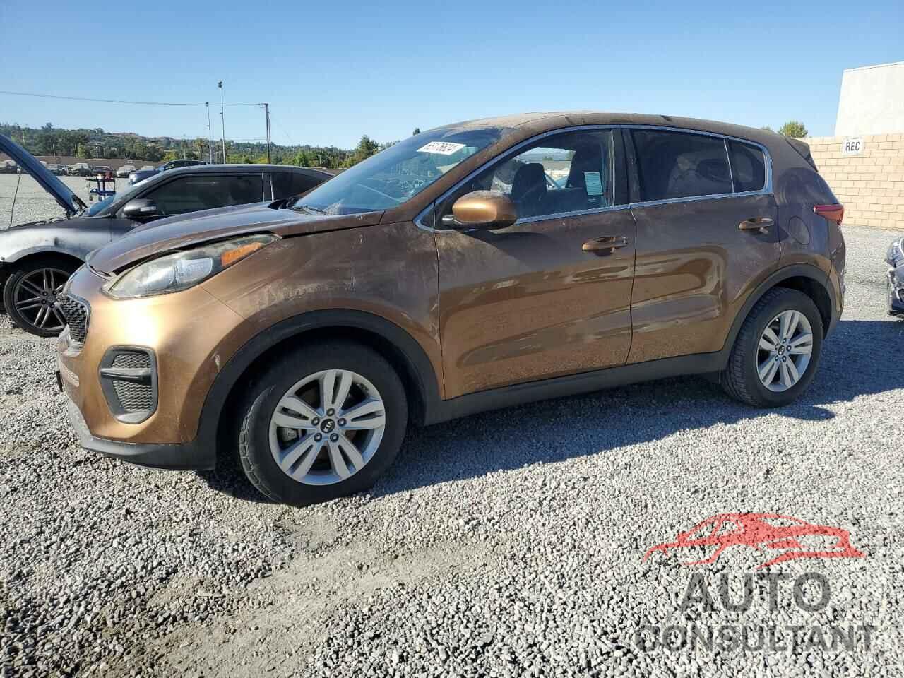 KIA SPORTAGE 2017 - KNDPM3AC2H7084225