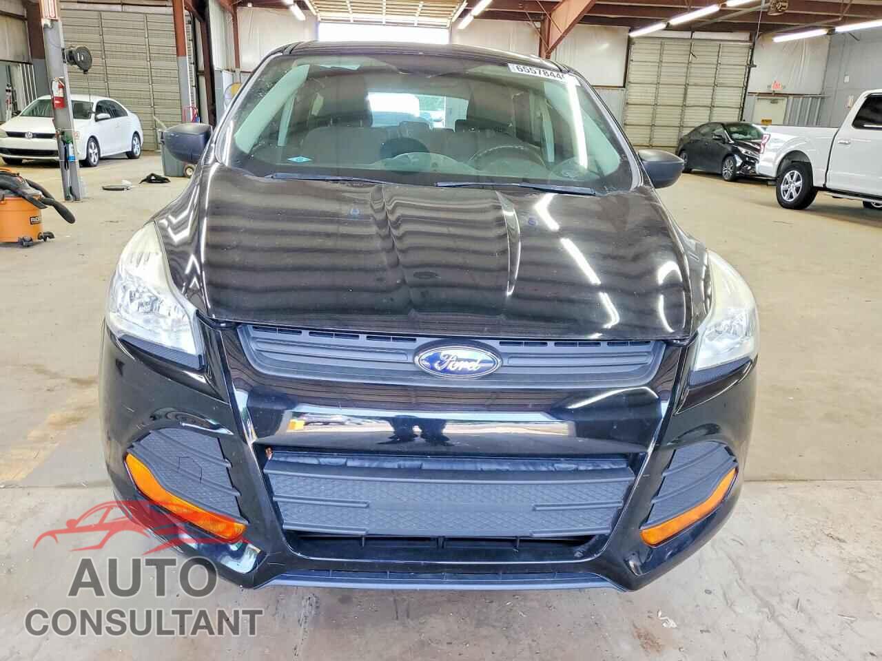 FORD ESCAPE 2016 - 1FMCU0F76GUC18903