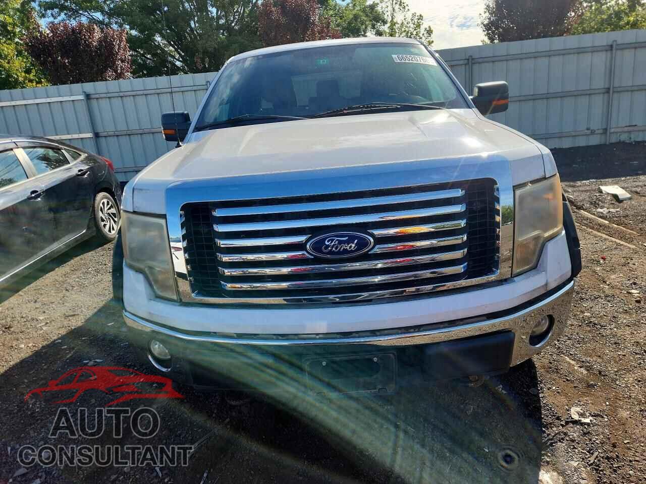 FORD F150 2011 - 1FTFX1EF8BFA28993