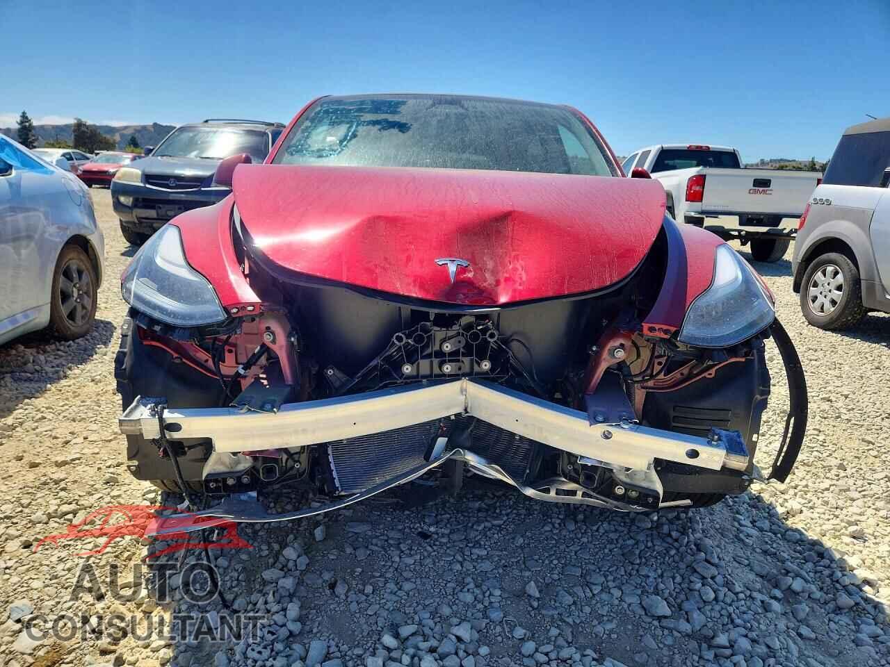 TESLA MODEL Y 2024 - 7SAYGAEE3RF163560