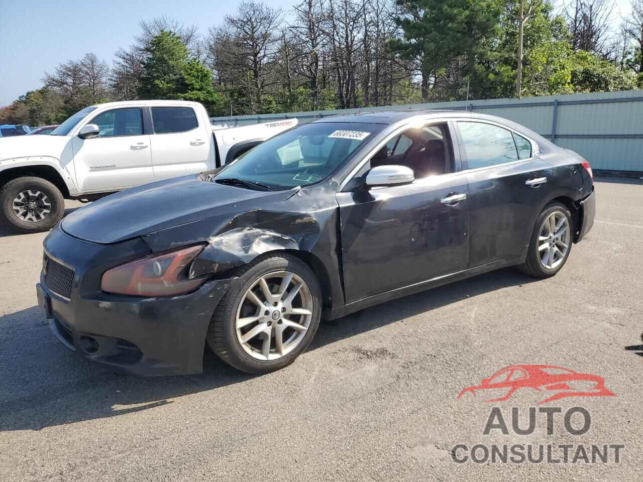 NISSAN MAXIMA 2010 - 1N4AA5AP2AC819785